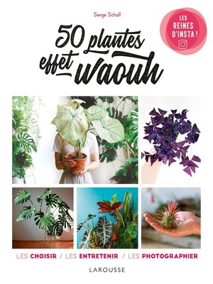 cover image of 50 plantes effet waouh